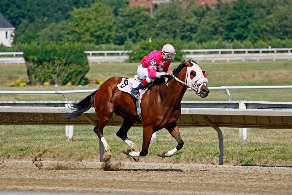 #6 - Thoroughbreds: Built for Speed, Not Longevity (Image Credits: Pexels)