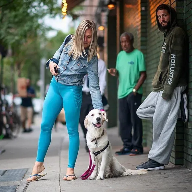 Conclusion: Matching the Right Dog to the Teaching Life (Alex Beattie, Flickr, CC BY 2.0)