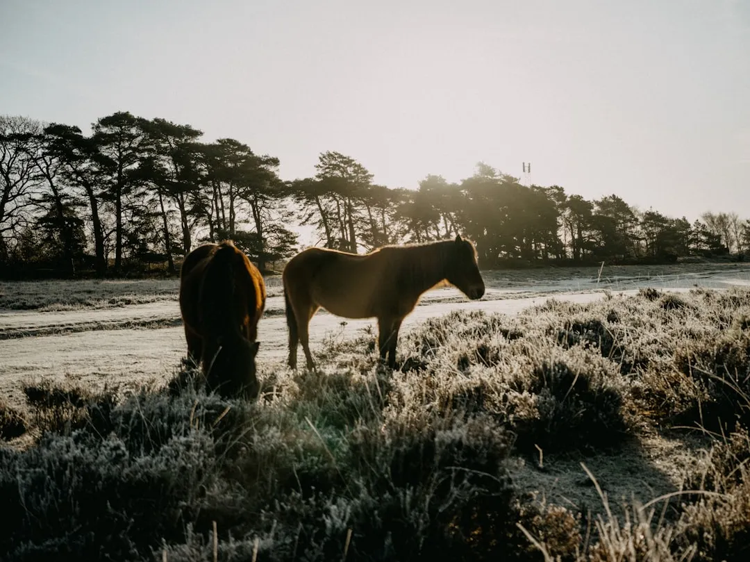 #3 - Stiffness On Cold Mornings That &ldquo;Warms Out Of It&rdquo; (Image Credits: Unsplash)