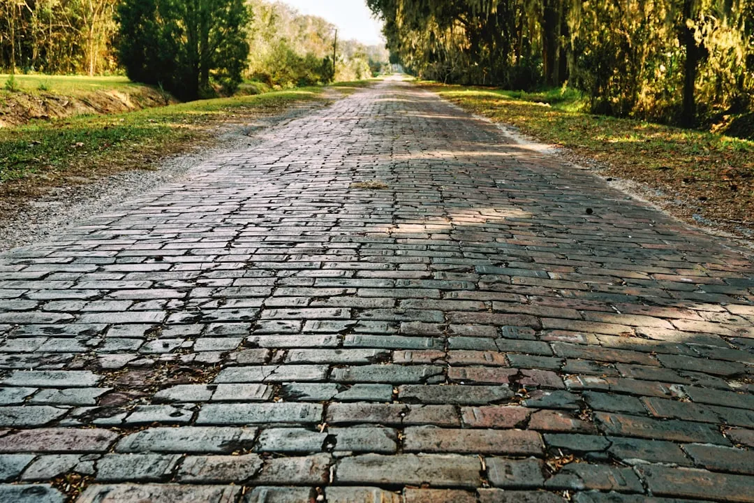 3. Damp Ground and Rain Increase Slip and Fall Risks (Image Credits: Unsplash)