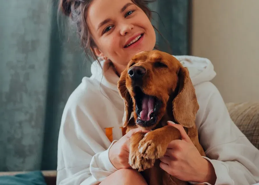 The Bigger Picture of Canine Social Intelligence (Image Credits: Pexels)