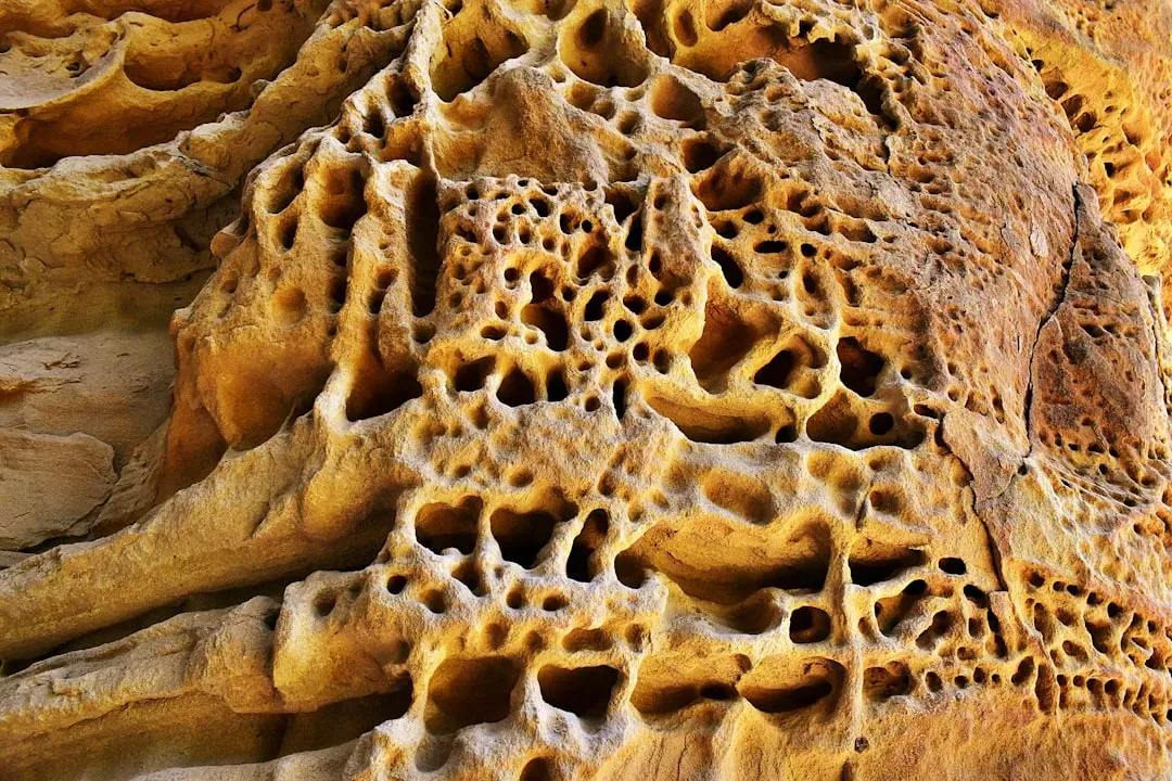 Ancient Sponges Are Rewriting Climate History (Image Credits: Unsplash)