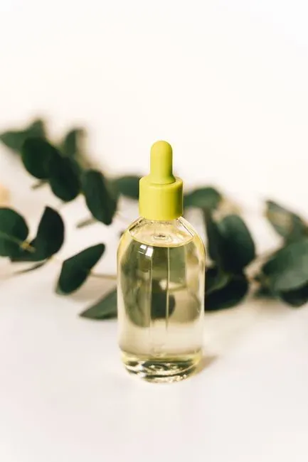 Eucalyptus: The Strong, Camphor-Like Barrier (Image Credits: Pexels)