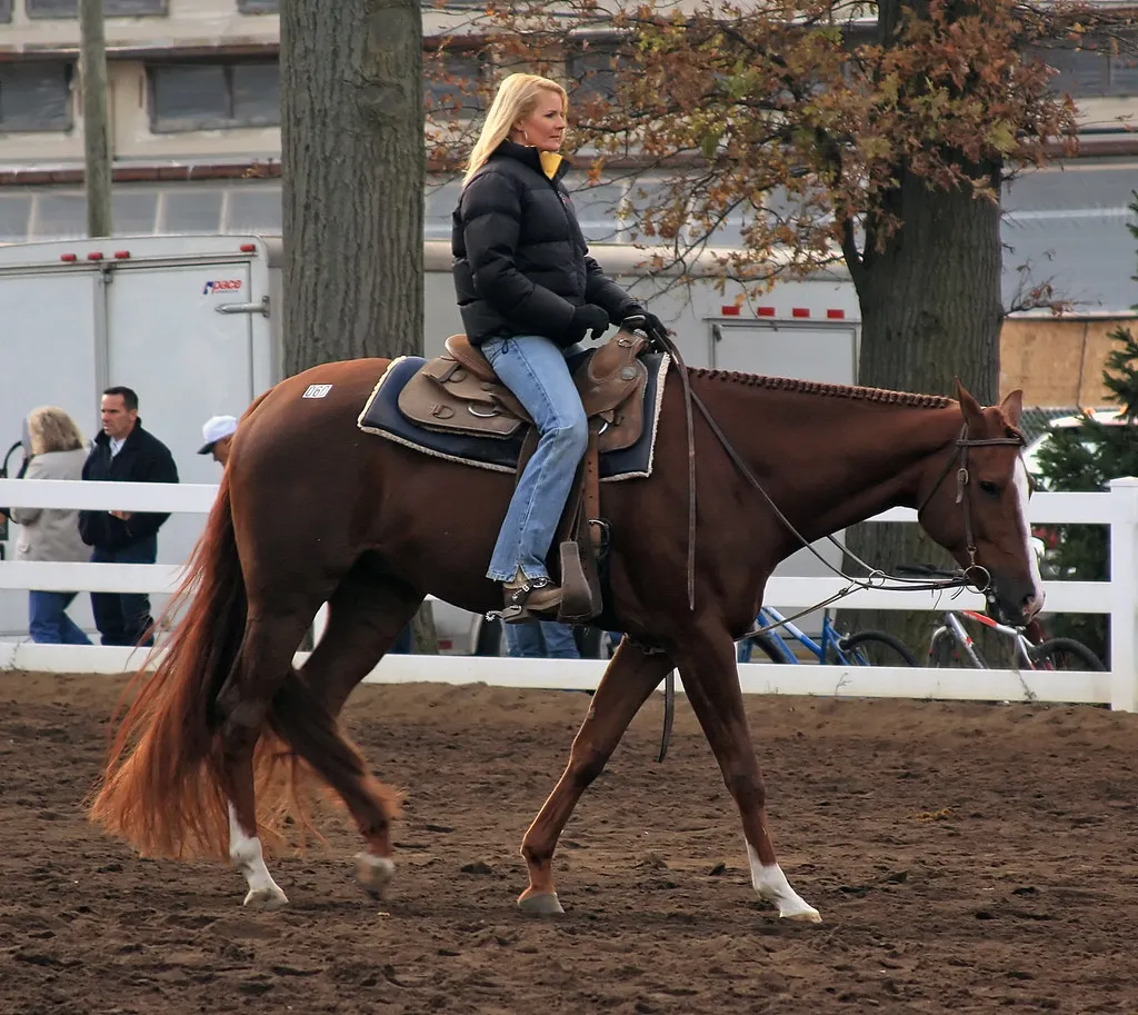 #6 - American Quarter Horse: The Wrong Bloodline Trap (Becker1999, Flickr, CC BY 2.0)