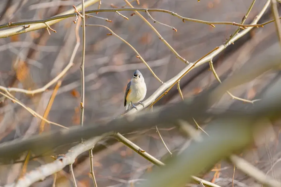 The Bird Worth a Second Look (Image Credits: Pexels)