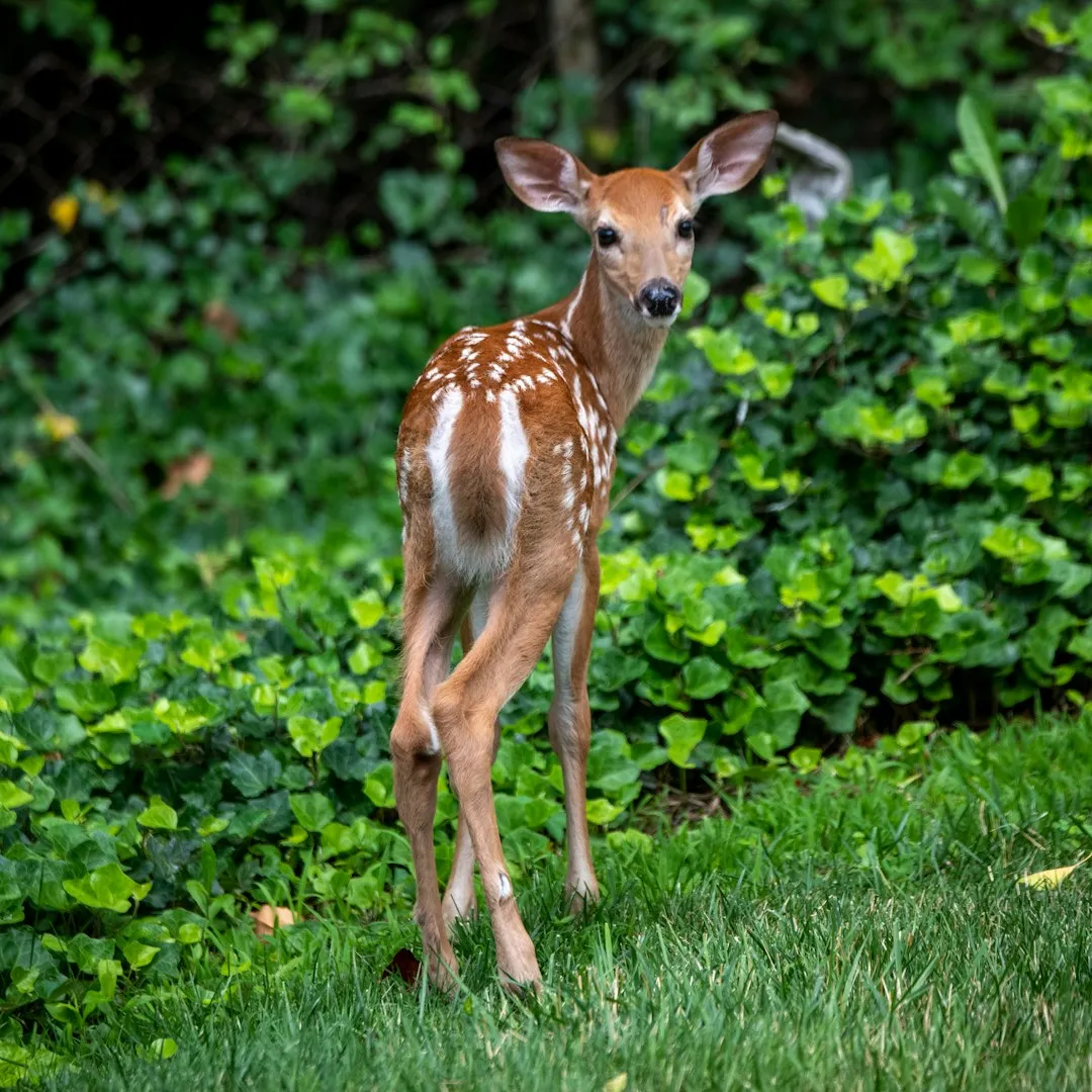 #2 Michigan (Image Credits: Unsplash)