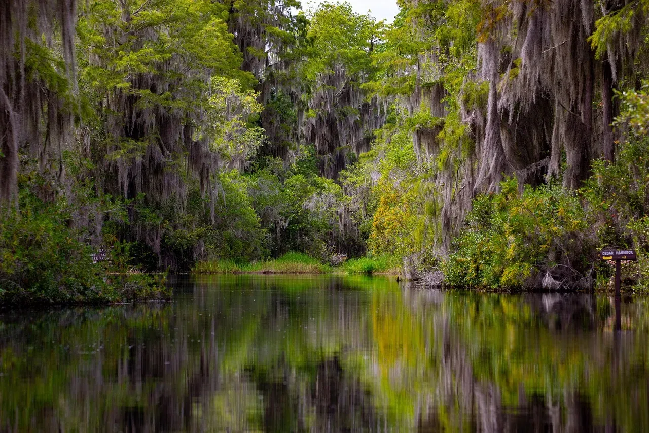 #9. The Okefenokee Swamp, Georgia and Florida: One of the Oldest Wetlands in America (Image Credits: Pixabay)