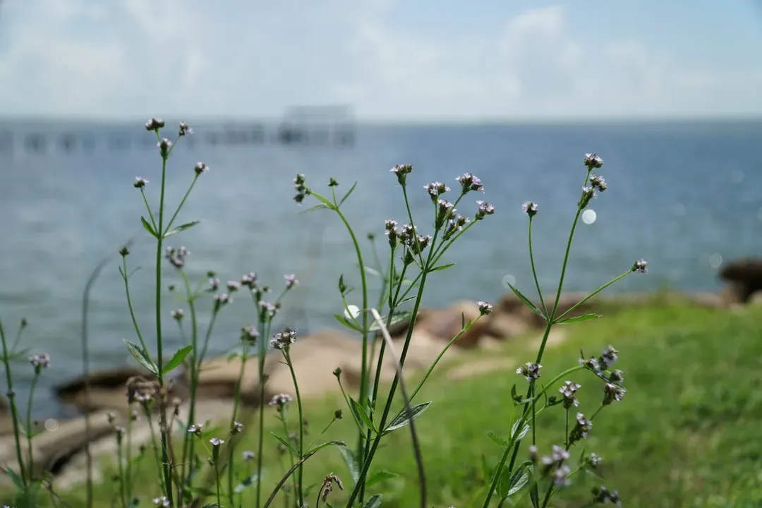 3. The Gulf South Region: Ports of Entry for Ecological Chaos (Image Credits: Unsplash)