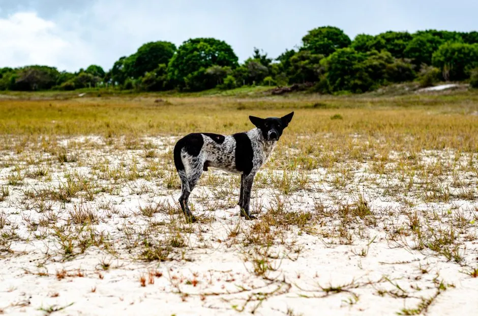 12 - Seeking Solitude (Image Credits: Pexels)