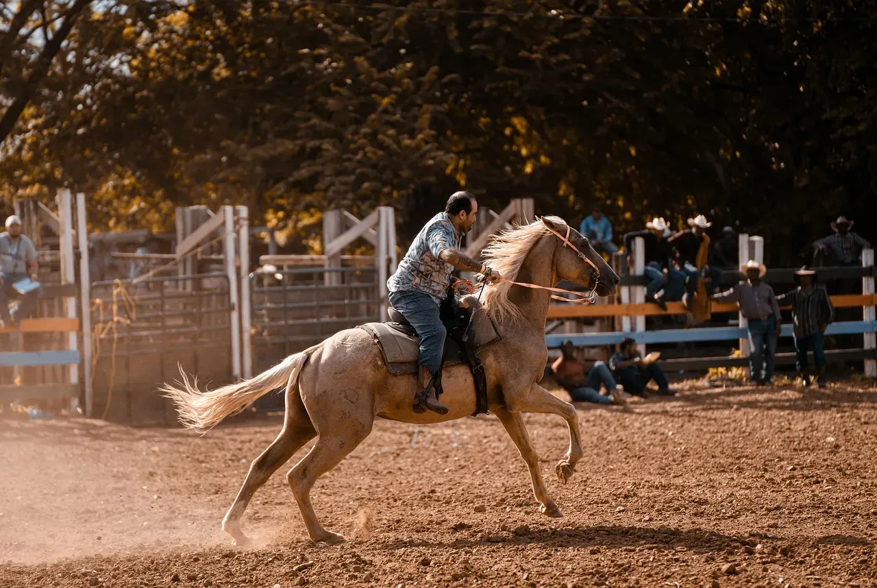 American Quarter Horse: The All-Around Trail Champion (Image Credits: Pixabay)