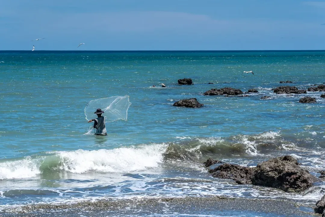 Smarter Fishing: From Overexploitation to Careful Stewardship (Image Credits: Unsplash)