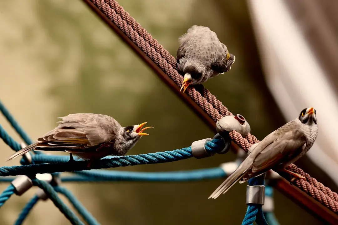#9: Never Let Them Chew on Electrical Cords or Heavy Metals (Image Credits: Unsplash)