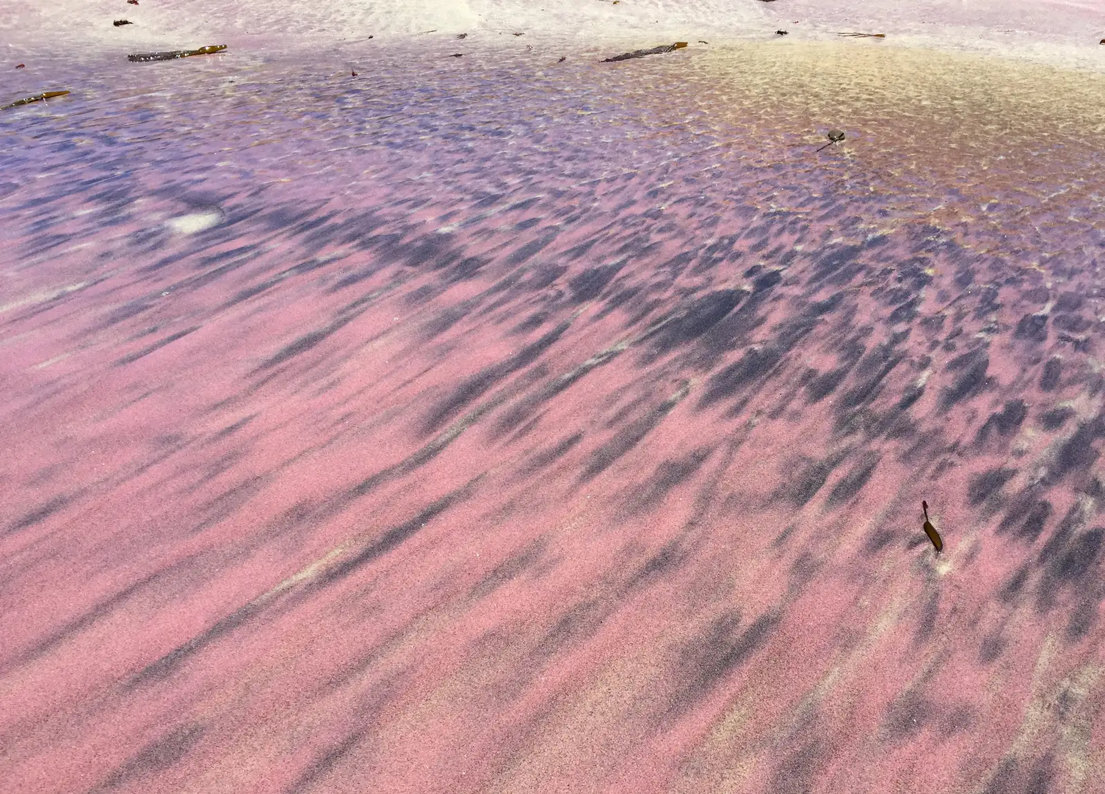 4. Pfeiffer Beach, Big Sur, California (Purple-Streaked Sand) (By Justin Dolske, CC BY-SA 2.0)