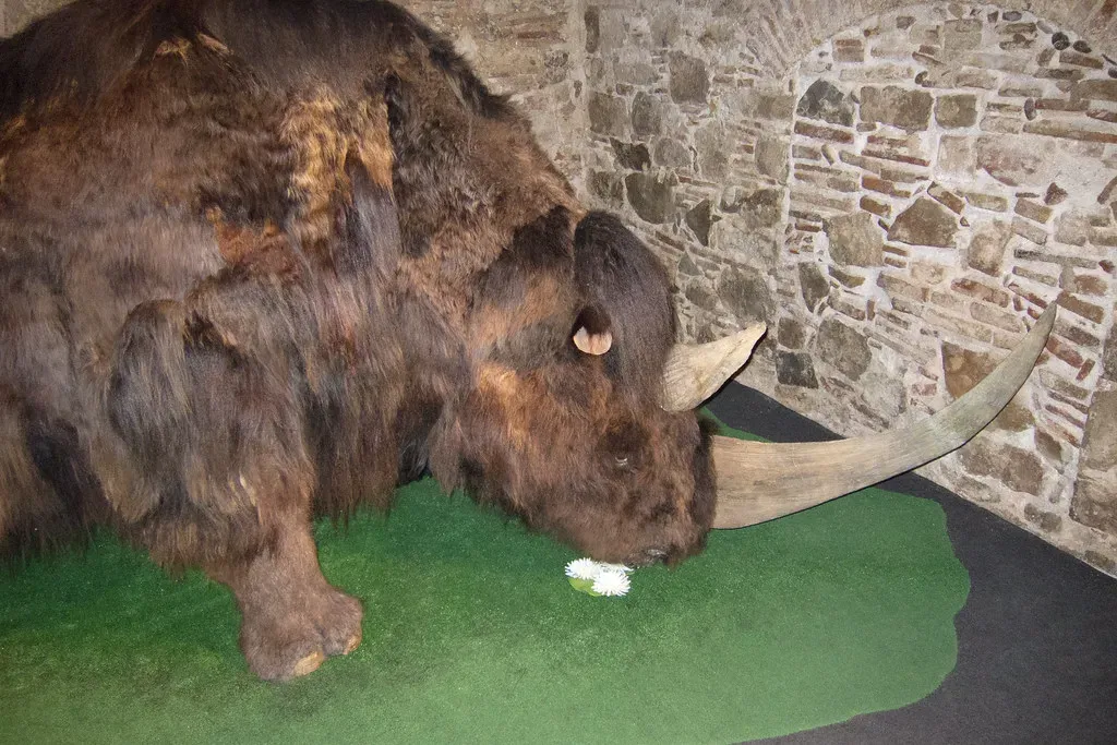 Sagittarius: The Woolly Rhinoceros (Image Credits: Flickr)