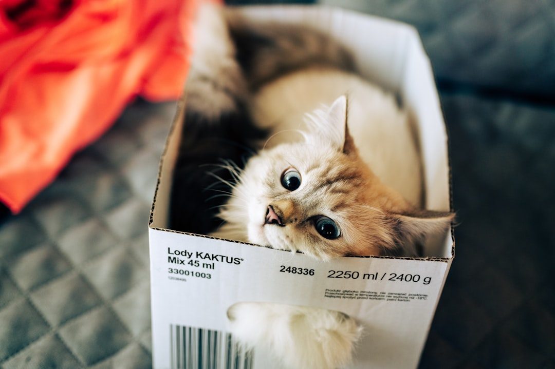 Upgrade Your Storage Solutions (Image Credits: Unsplash)