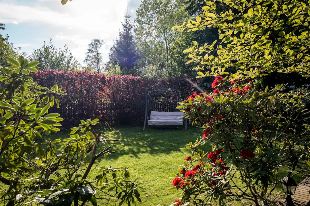 #12 - Chasing "Perfect" Instagram Gardens Steals the Joy (And the Learning) (Image Credits: Unsplash)