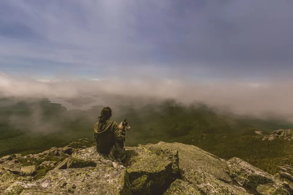 Sagittarius: Adventure Seekers With Endless Energy (Image Credits: Stocksnap)