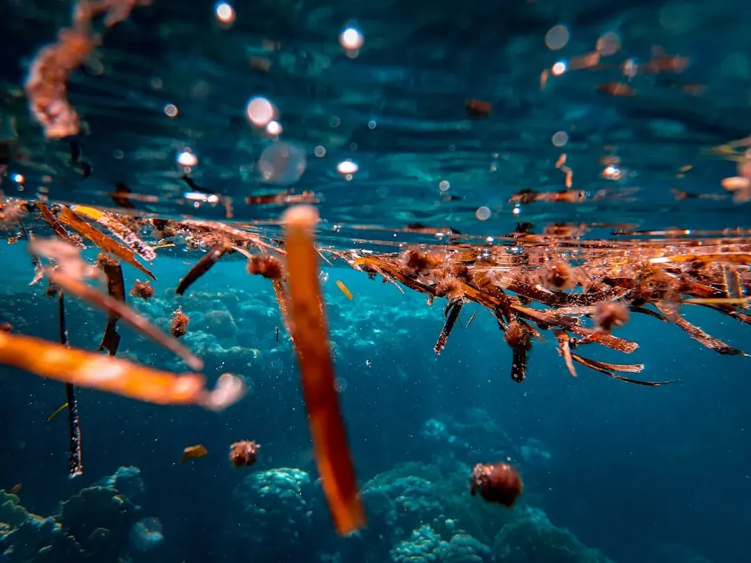 9. Purifying Water and Filtering Pollutants (Image Credits: Unsplash)