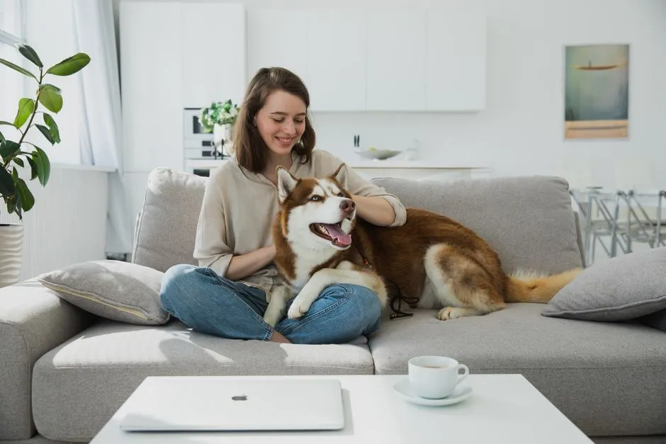 Creating a Calm, Predictable Home Environment for Your Pet (Image Credits: Pexels)