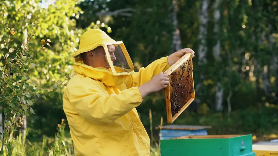What NOT to Do When Bees Attack (Image Credits: Unsplash)