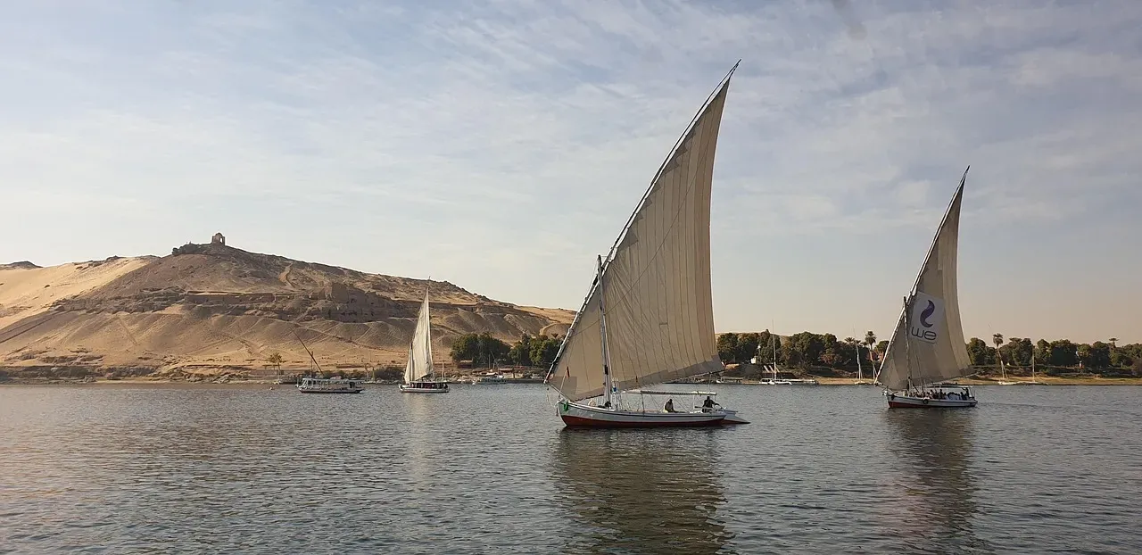 Pisces: The Peaceful Flow of The Nile (Image Credits: Pixabay)