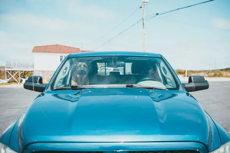8. Never, Ever Leave Them in a Parked Car (Image Credits: Pexels)