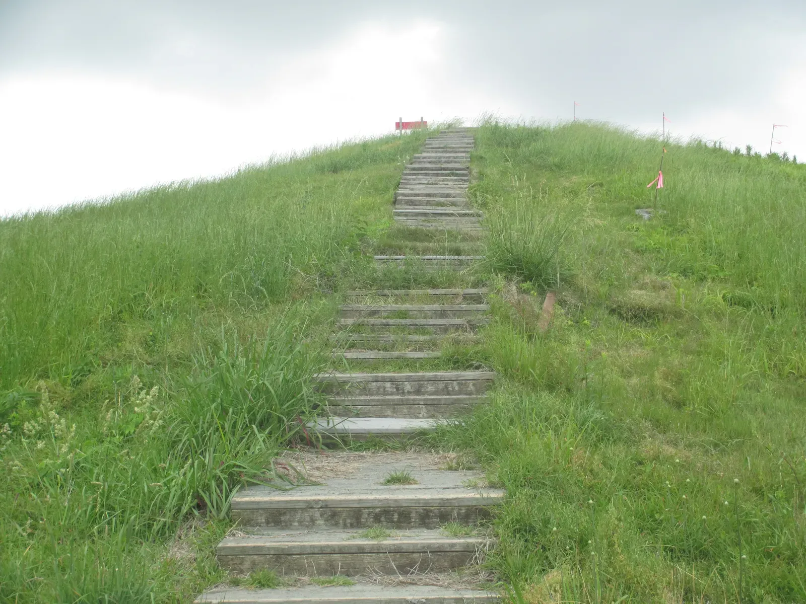 Poverty Point Mounds (Image Credits: Wikimedia)