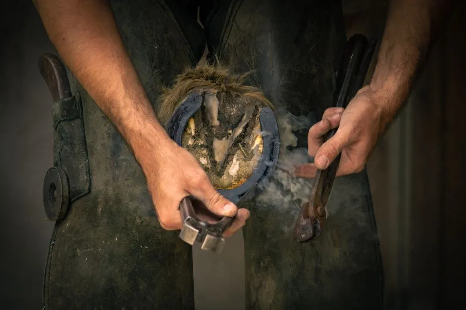 #1 - Farrier Bills Sneak Up Faster Than Expected (Image Credits: Pexels)