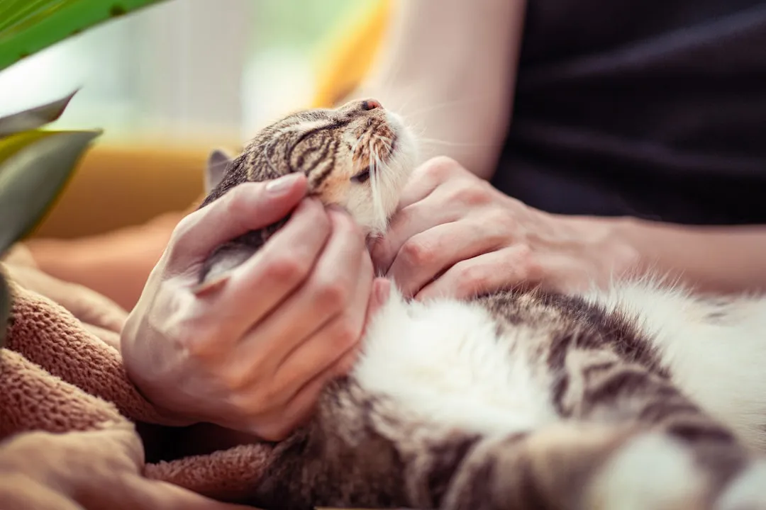 #16 - They Stay Strangely Calm While You Touch Their Weakest Spots (Image Credits: Unsplash)