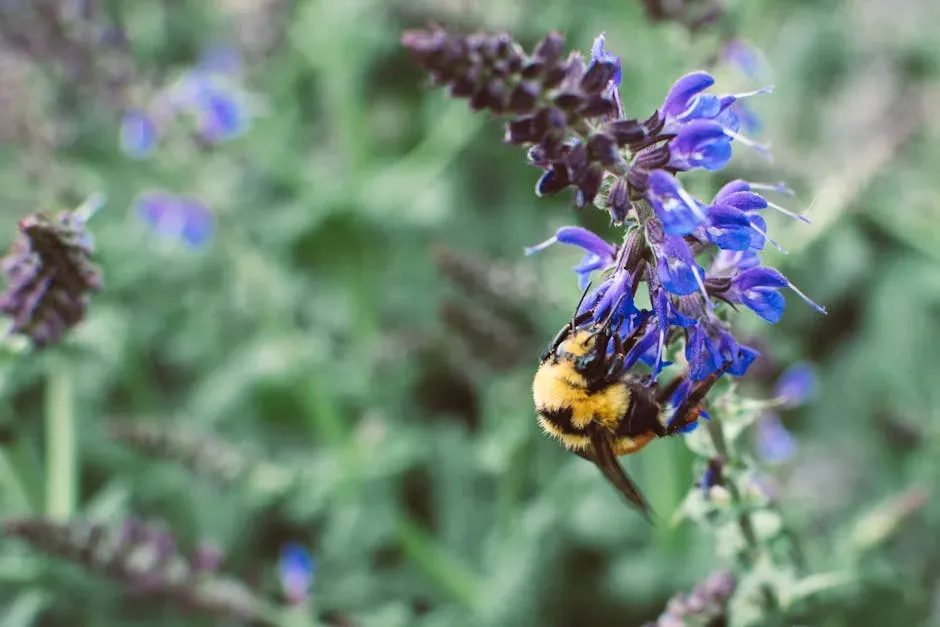 Conclusion: A Smarter Kind of Pollinator Garden (Image Credits: Pexels)