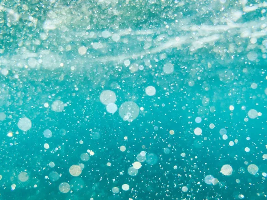 Ocean Microbes and the Climate Connection (Image Credits: Pexels)
