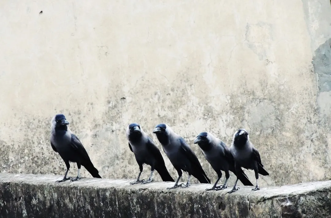 6. Engaging in Playful Behavior Around You (Image Credits: Unsplash)