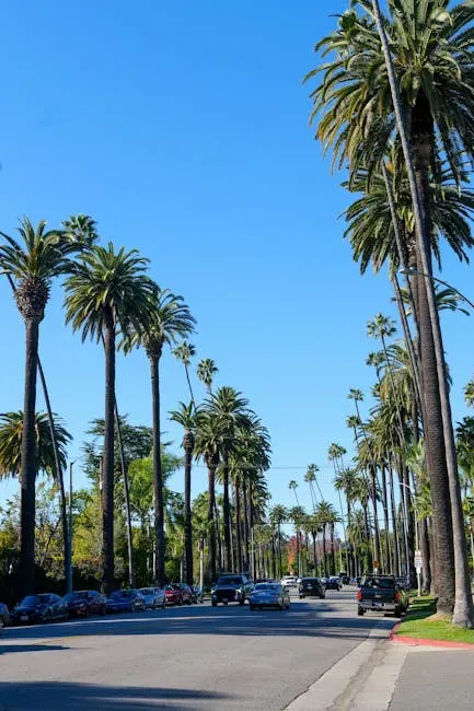 3. California (Image Credits: Pexels)
