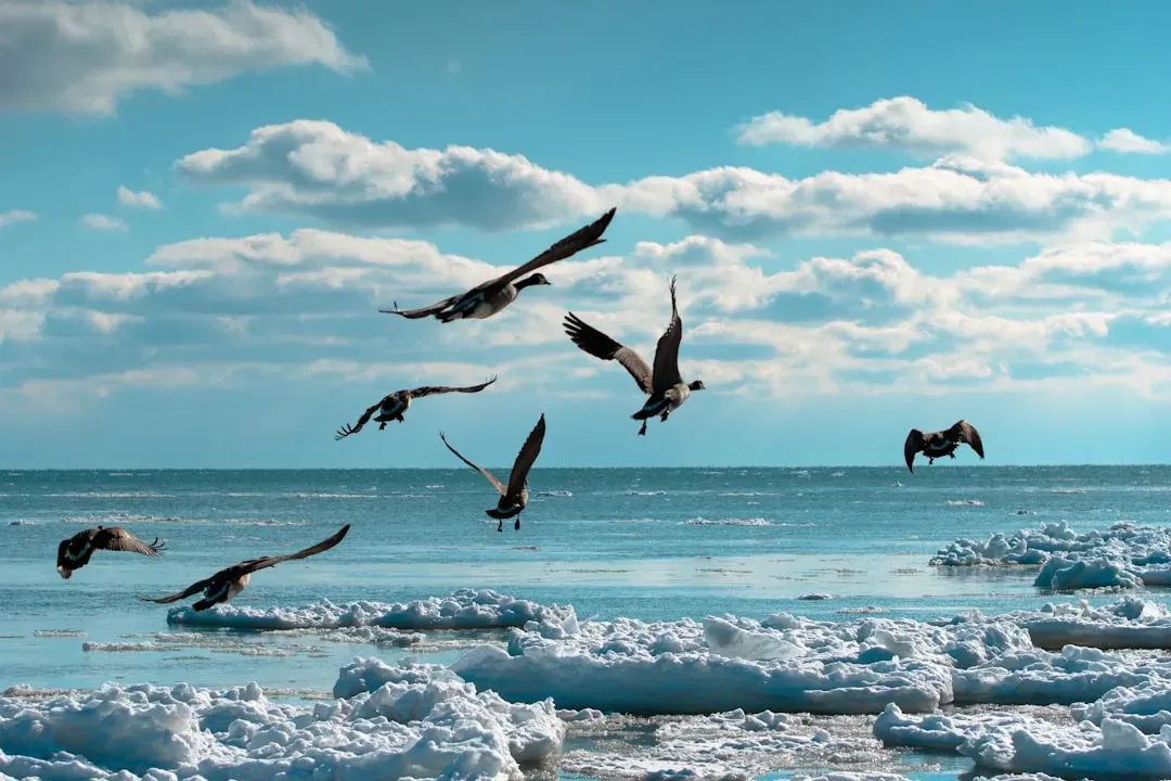 Learning from Past Storm Events (Image Credits: Unsplash)