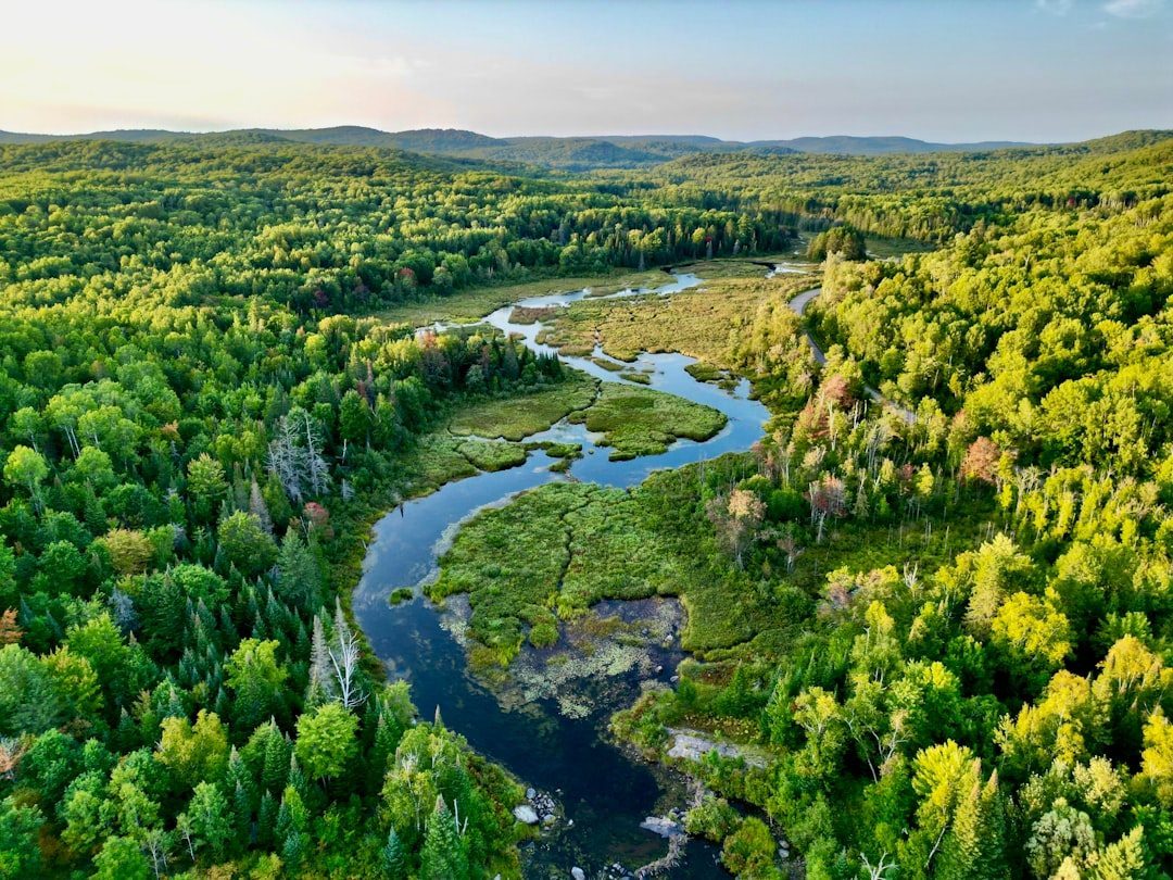 Rivers Begin to Dance Again (Image Credits: Unsplash)