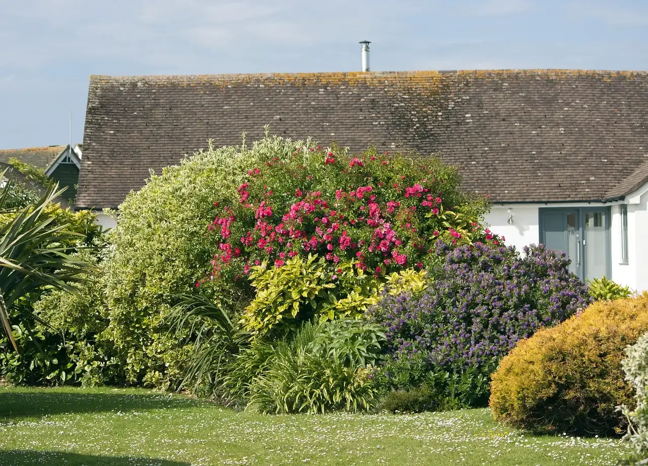 8. Maintain a Tidy Yard (Image Credits: Pixabay)