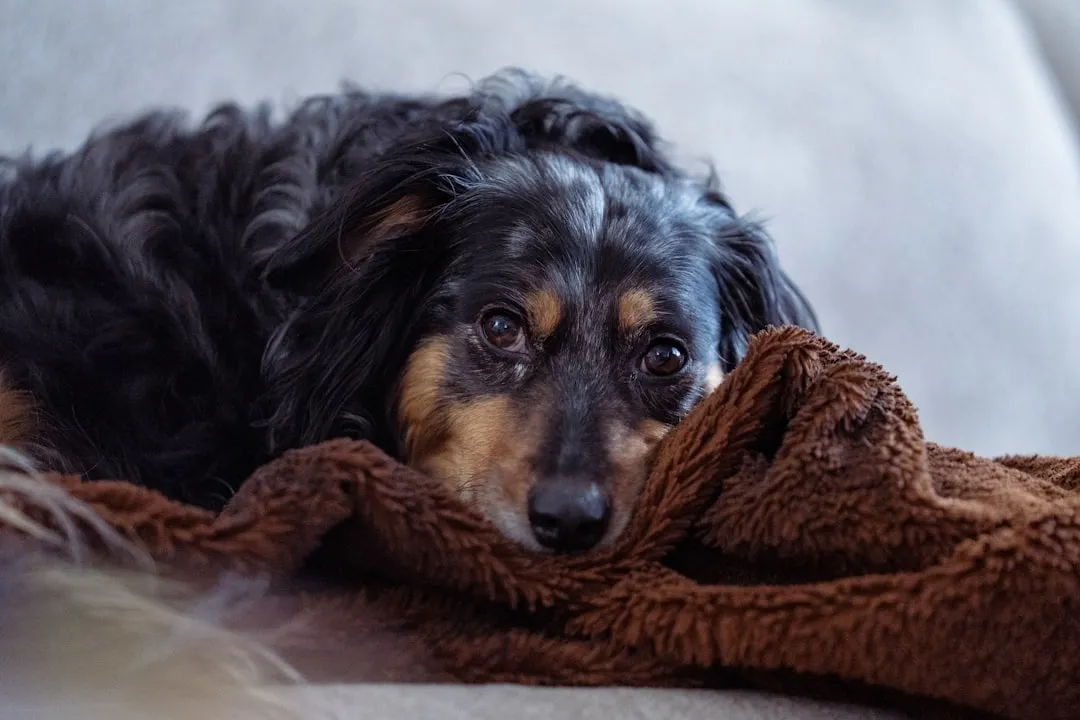 #13 - Quietly Boycotting Certain Rooms (Image Credits: Unsplash)
