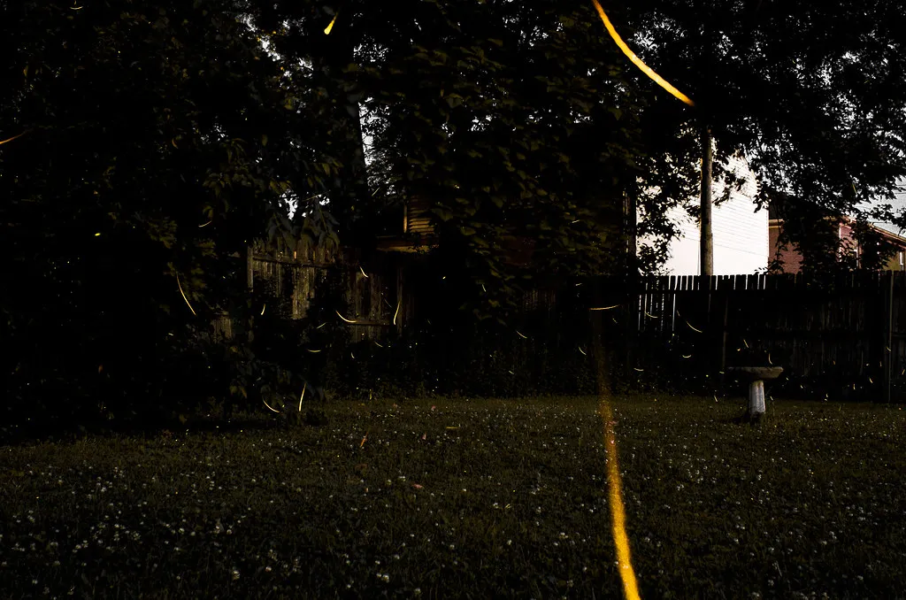 #1 Your Yard Is Too Perfectly Manicured (J.T. Lindroos, Flickr, CC BY 2.0)