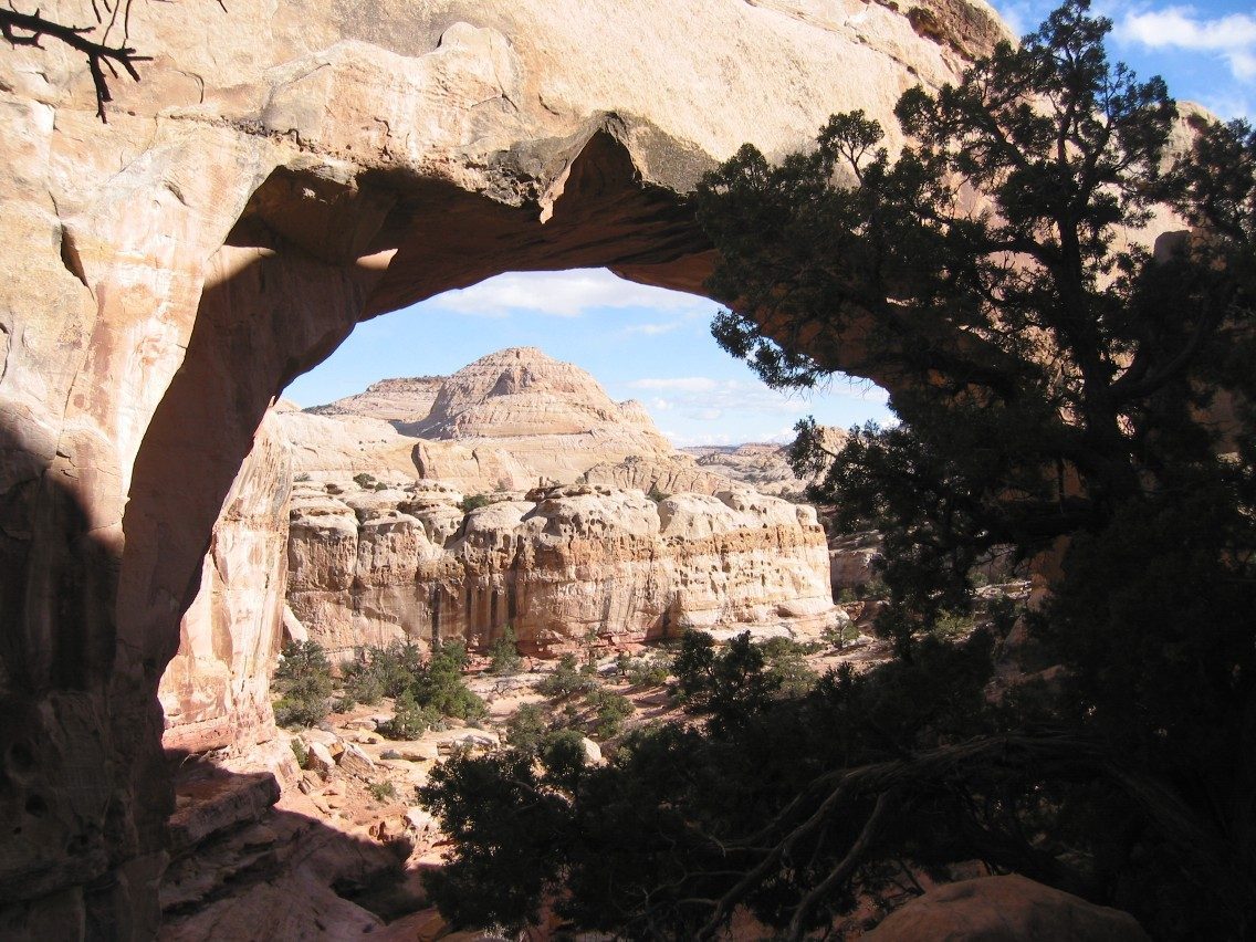 Capitol Reef's Hidden Wilderness - Utah's Forgotten Frontier (Image Credits: Wikimedia)