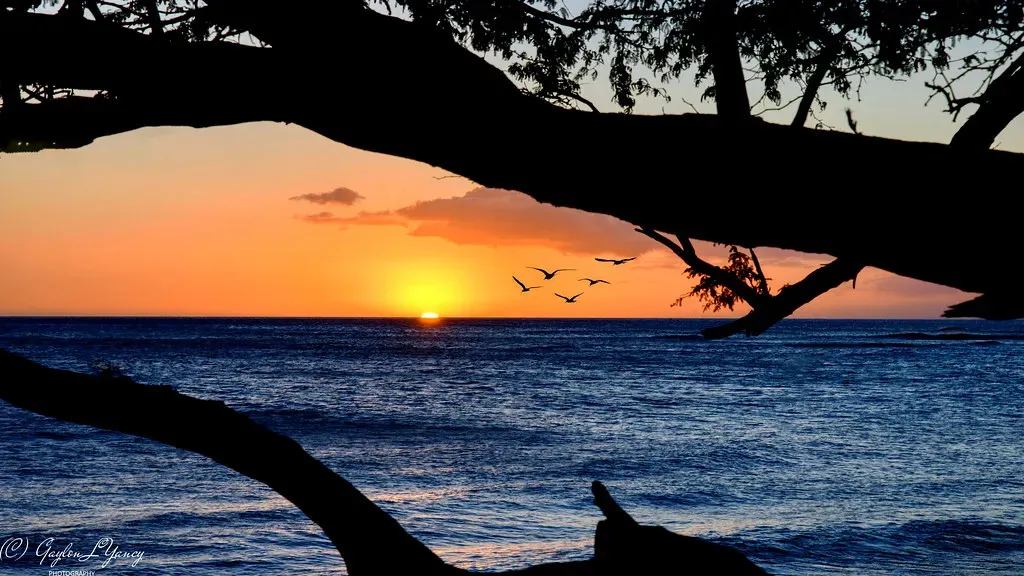 Hawaii: Paradise Painted in Watercolors (Image Credits: Flickr)