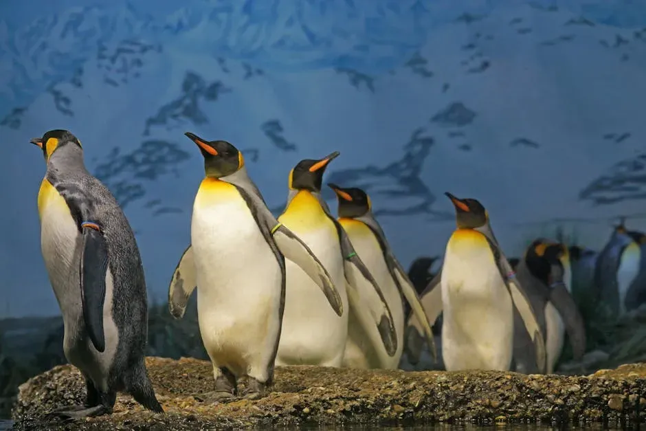 8. The Yellow-Eyed Penguin: The Rarest Penguin on Earth (Image Credits: Pexels)