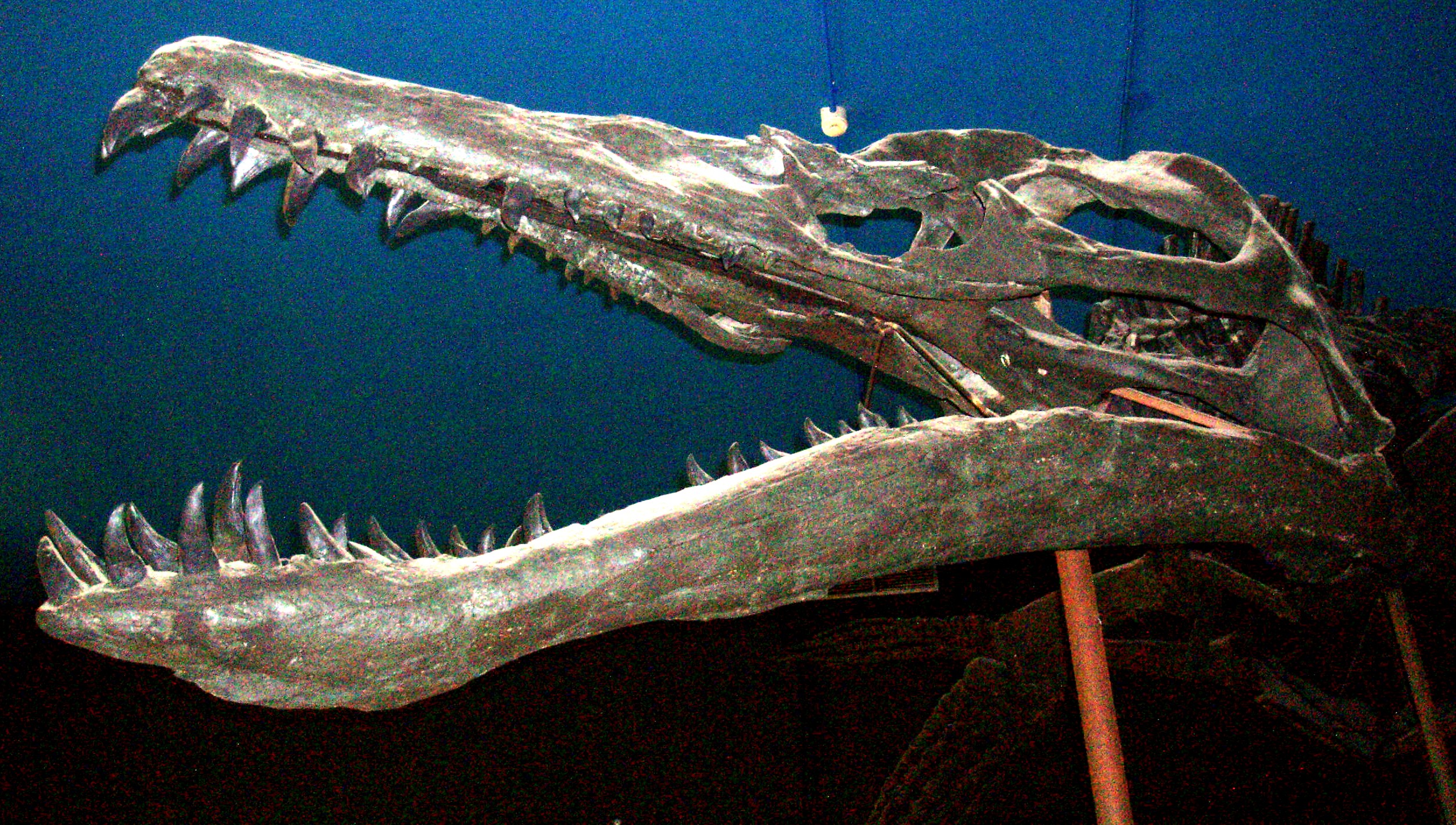 The End of an Era of Ocean Terror (Image Credits: Wikimedia)