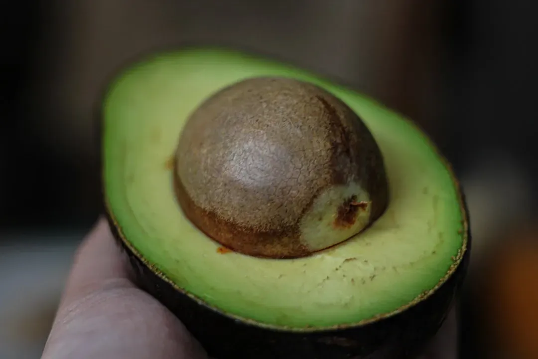 6. Avocado: Not As Healthy As You Think (Image Credits: Unsplash)