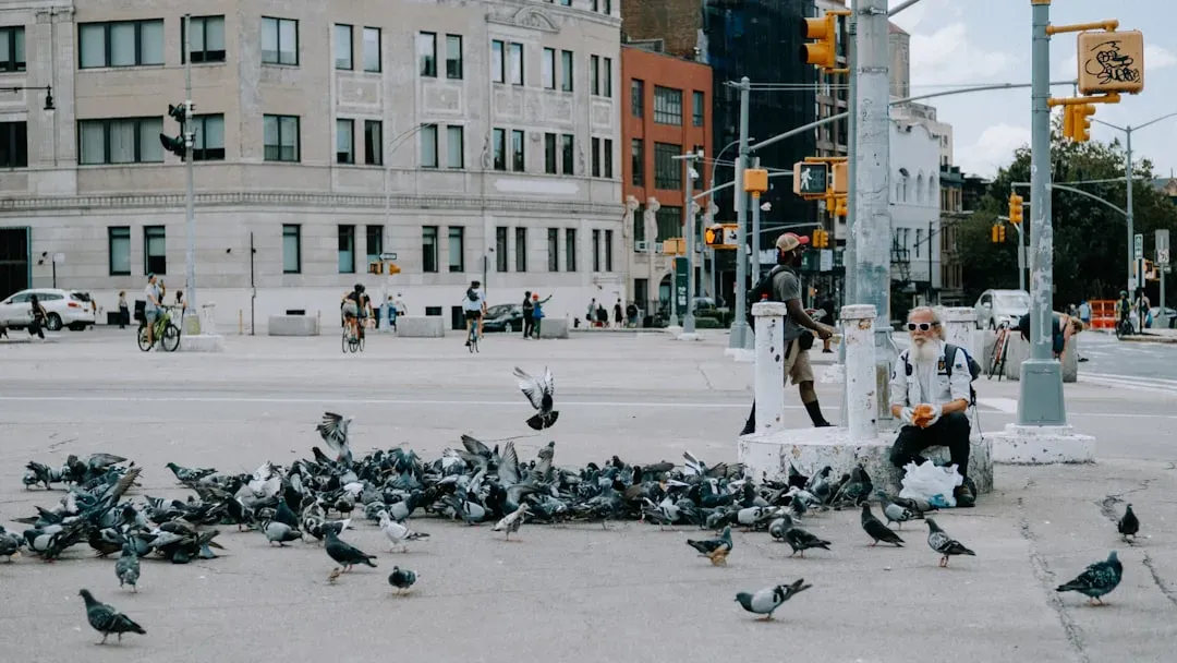 Location, Location, Location: When 'Place' Creates the Problem (Image Credits: Unsplash)