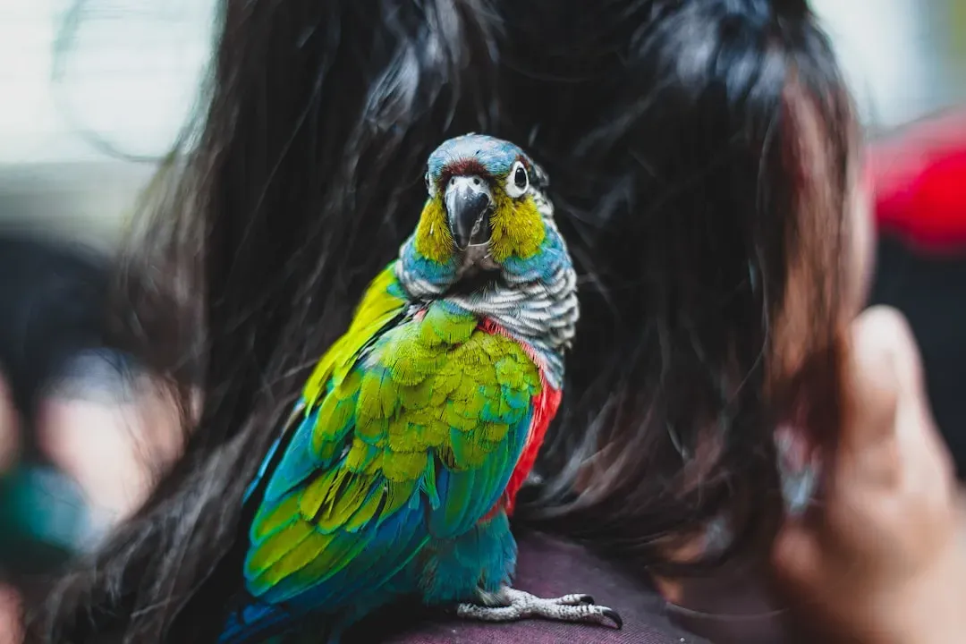 #10: Never Ignore the Signs That Something Is Wrong (Image Credits: Unsplash)