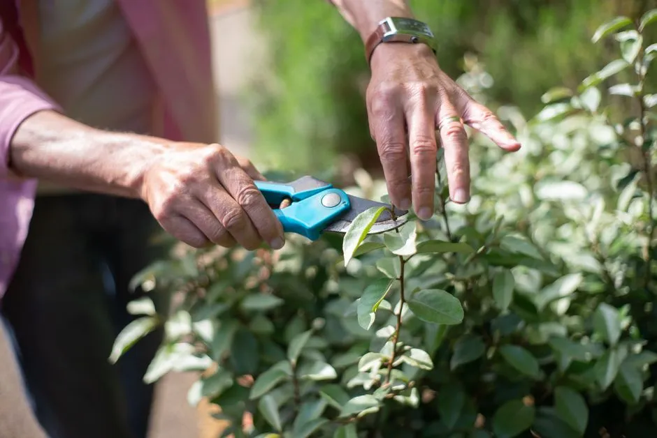 #15 - Cut Back Only the Right Shrubs (And Leave the Others Alone) (Image Credits: Pexels)