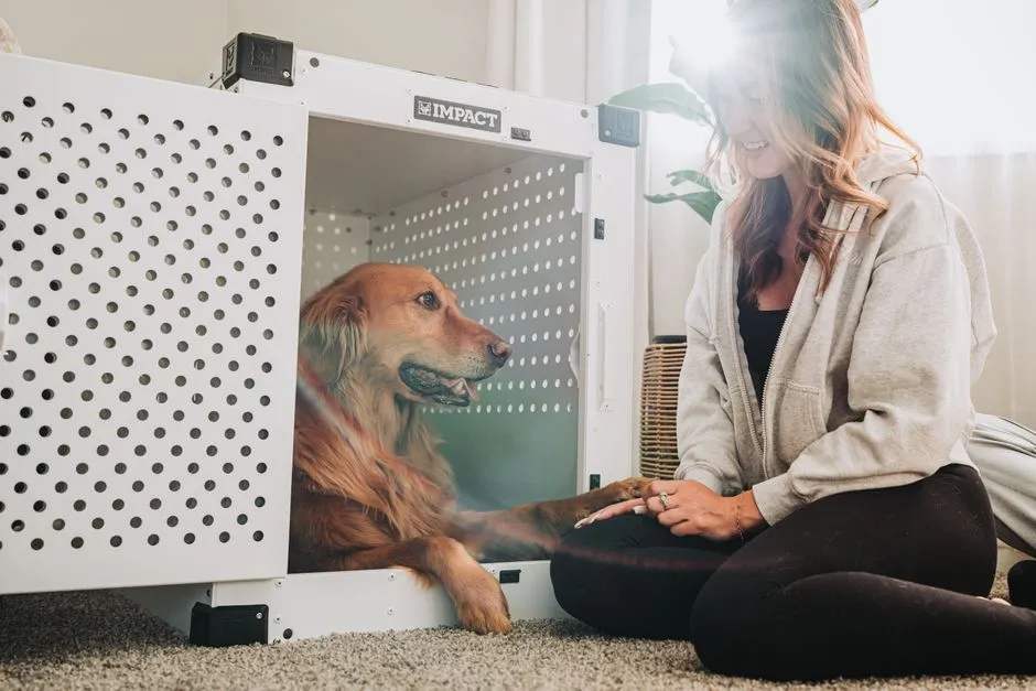 #11 - Obsessive Crate Behavior in Either Direction (Image Credits: Pexels)