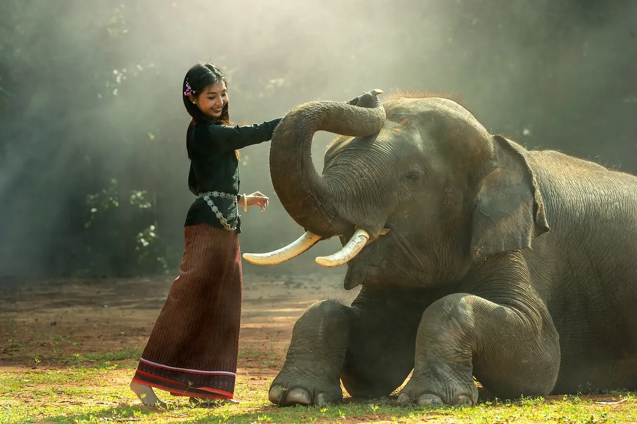 #5 - Elephants: Bulldozers That Plant Forests (Image Credits: Pixabay)