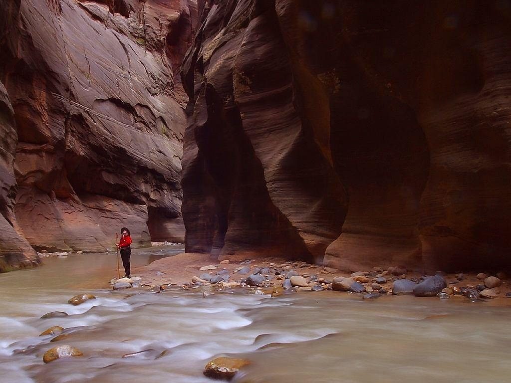 The Narrows, Zion National Park, Utah (Image Credits: Pixabay)