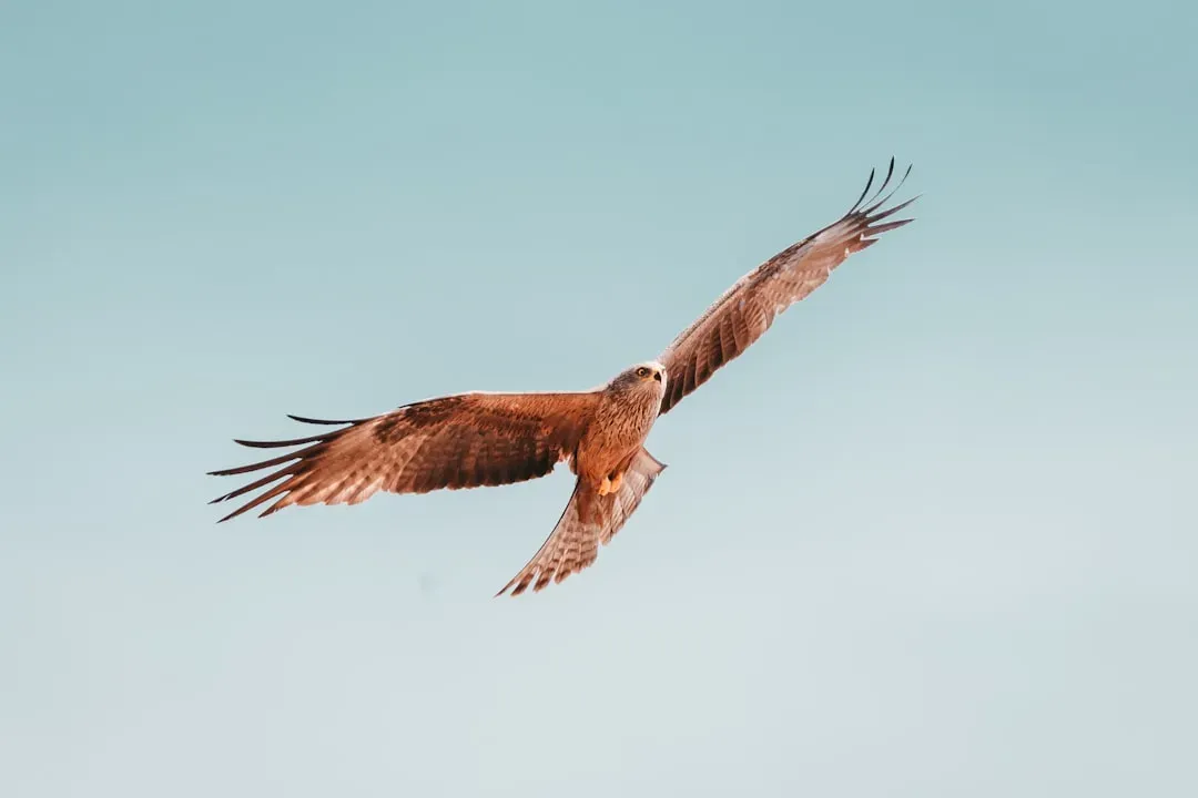 When the Sight Might Warrant Extra Attention (Image Credits: Unsplash)